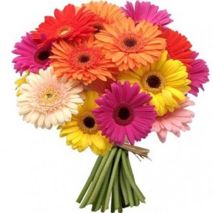 940c976a267ccaaf671e47f3edb32aae--ideas-jardin-amazing-flowers